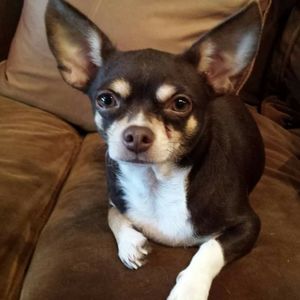 Meet your Posher, Randy